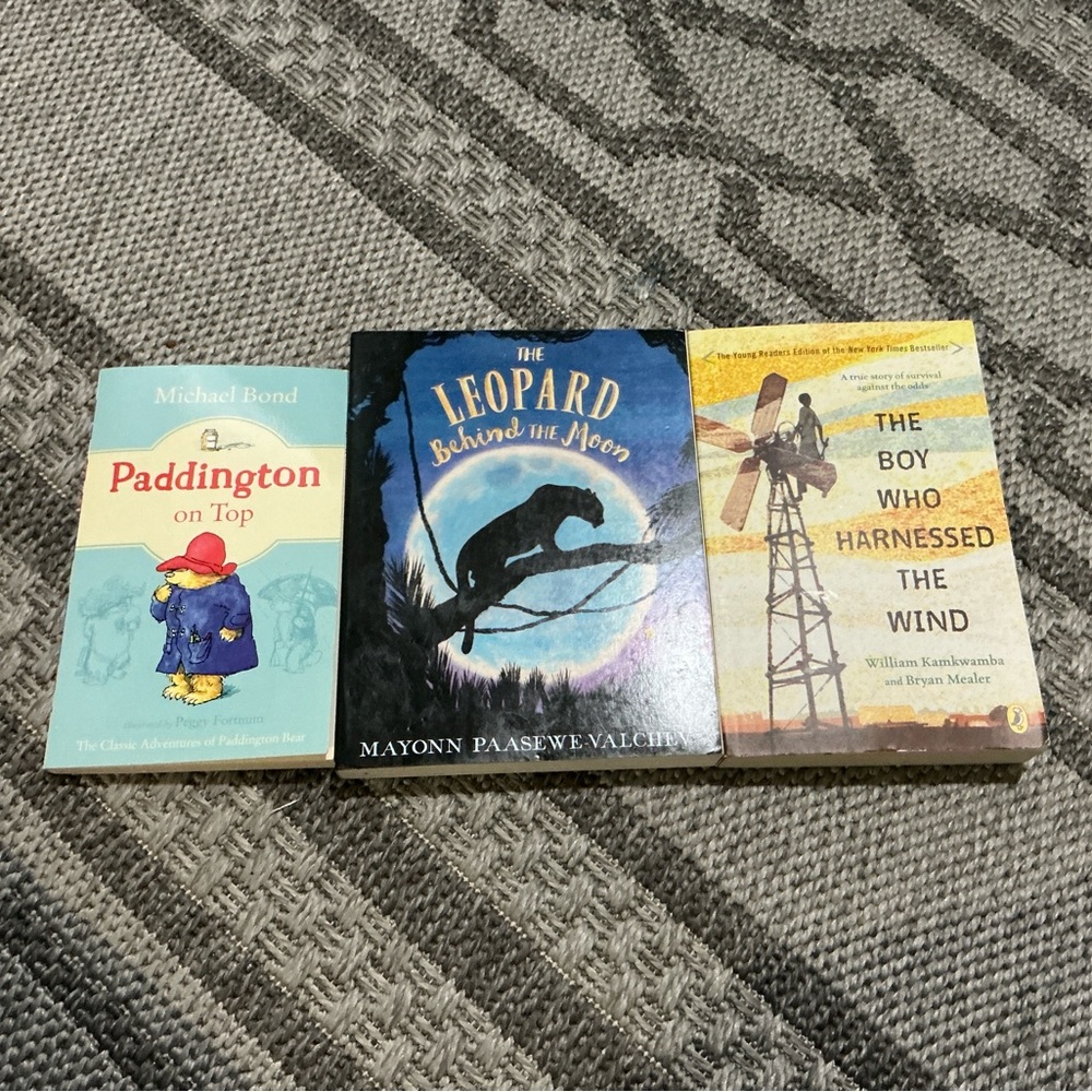 Paddington, Leopard Behind the Moon, Boy Who Harnessed the Wind